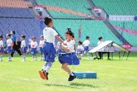 文班&哈珀 互吹一下